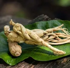 Pale, forked ginseng roots on a green leaf, a stock photo from the brand's image set