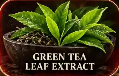 The 'Green tea leaf extract' tile from the brand poster: fresh tea leaves over a stone bowl
